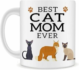 a best cat mom mug
